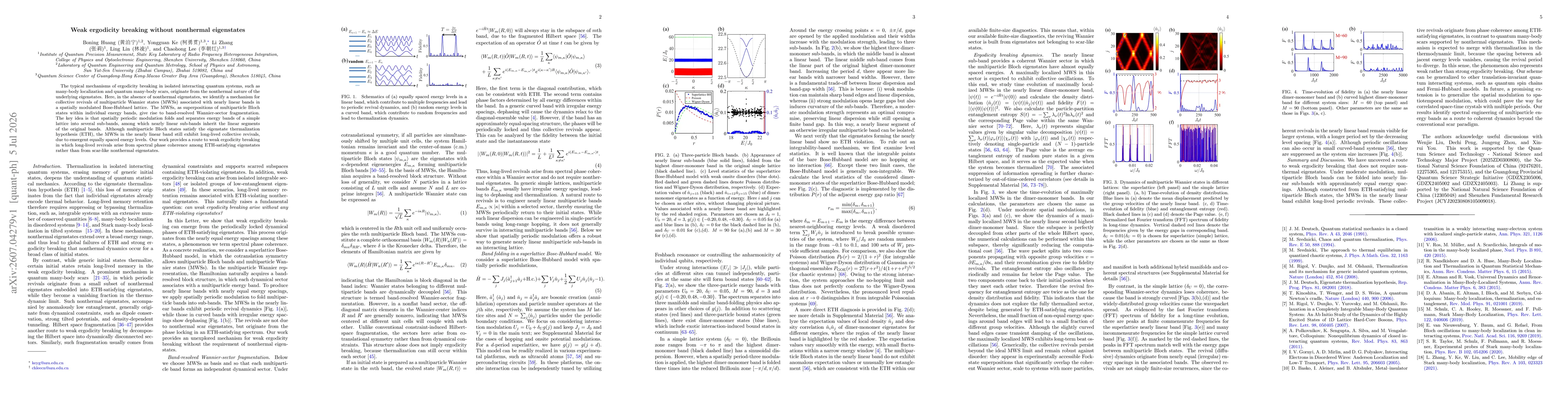 Thumbnail for Weak ergodicity breaking without nonthermal eigenstates