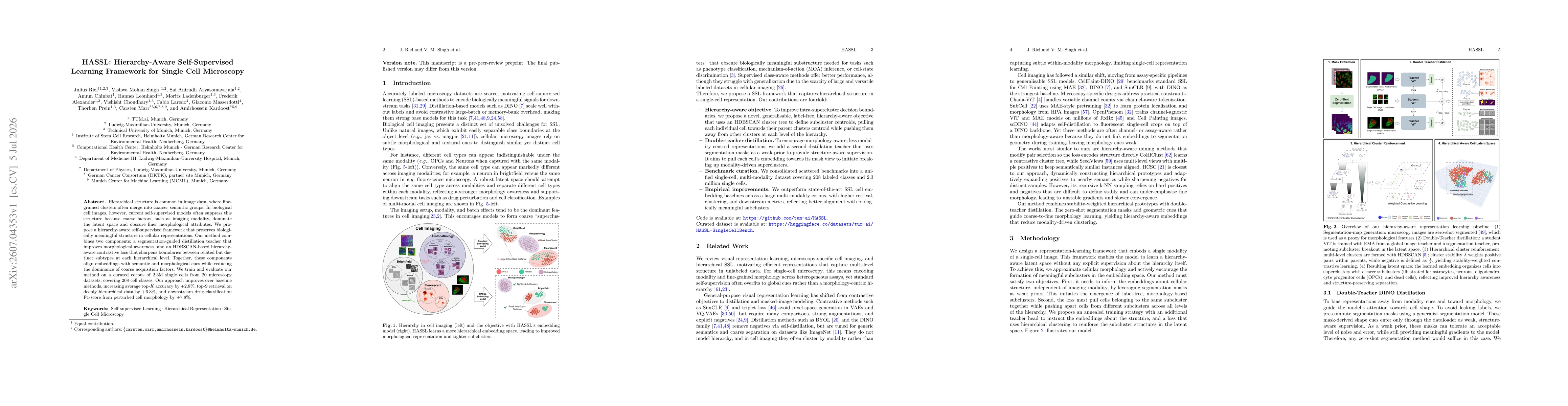 Thumbnail for HASSL: Hierarchy-Aware Self-Supervised Learning Framework for Single Cell Microscopy
