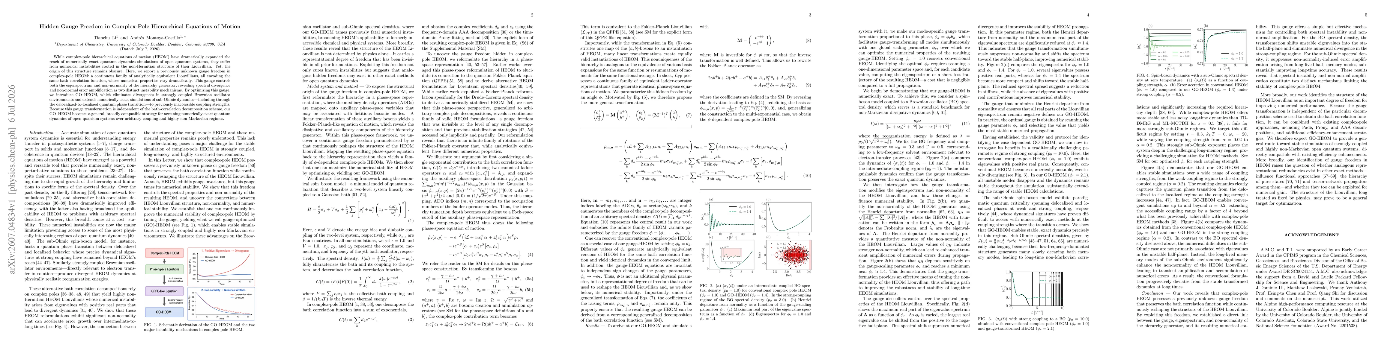 Thumbnail for Hidden Gauge Freedom in Complex-Pole Hierarchical Equations of Motion
