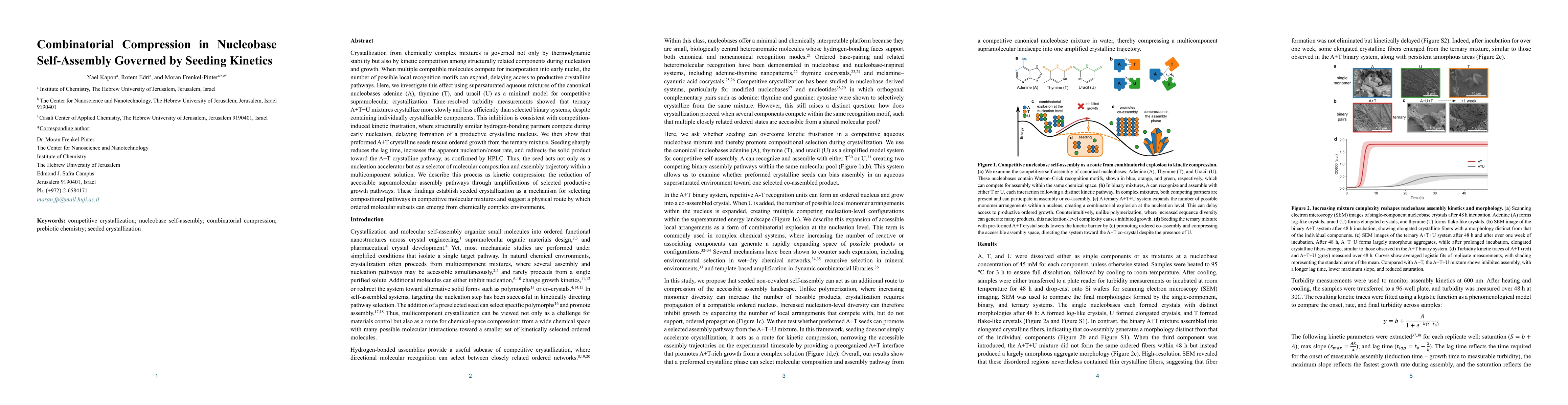 Thumbnail for Combinatorial Compression in Nucleobase Self-Assembly Governed by Seeding Kinetics