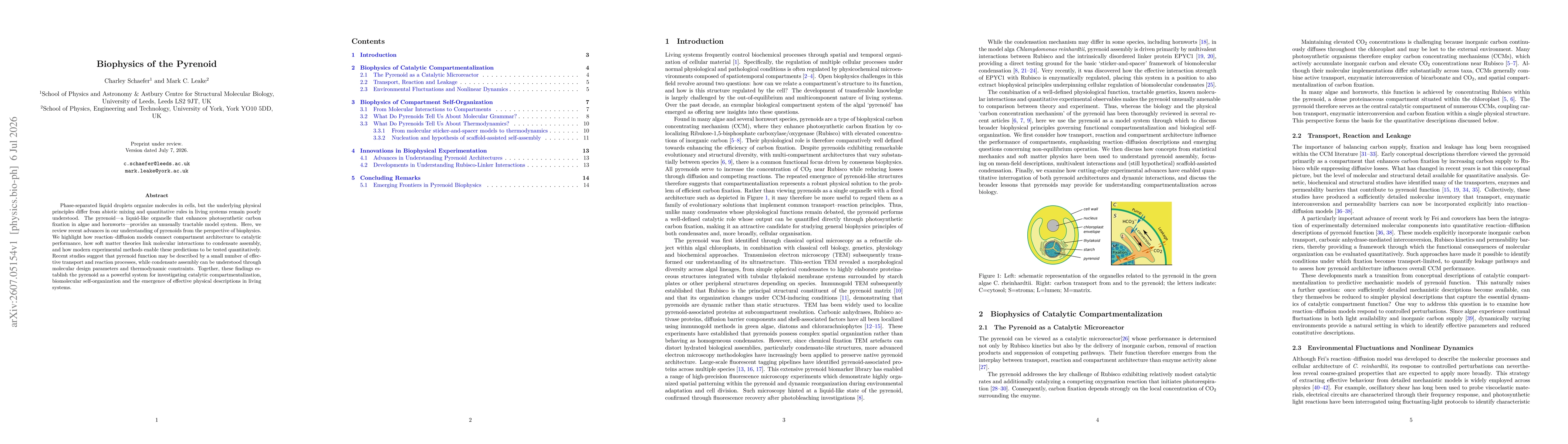 Thumbnail for Biophysics of the Pyrenoid