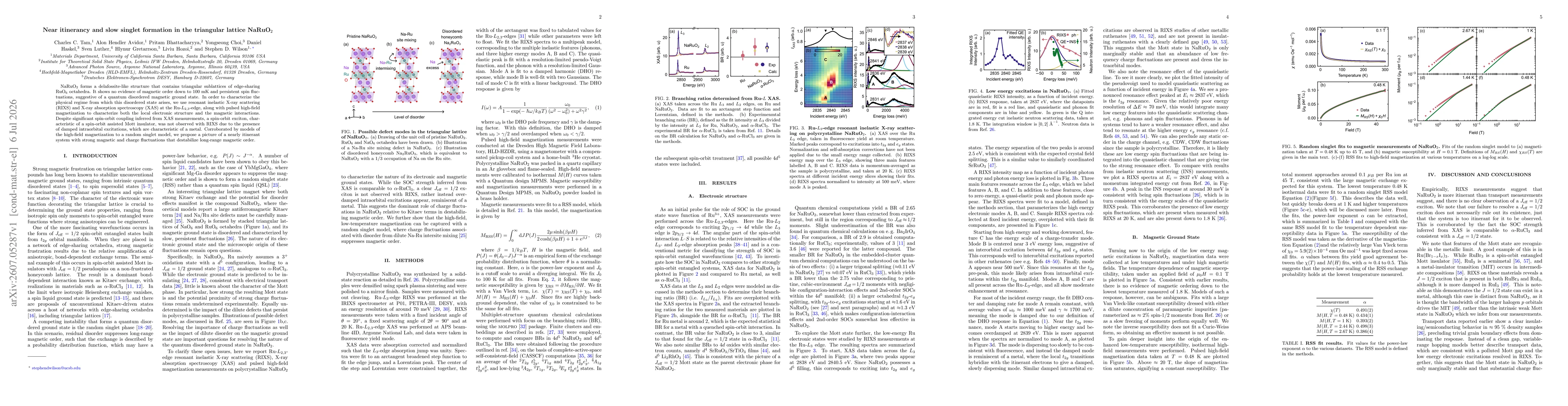 Thumbnail for Near itinerancy and slow singlet formation in the triangular lattice NaRuO2