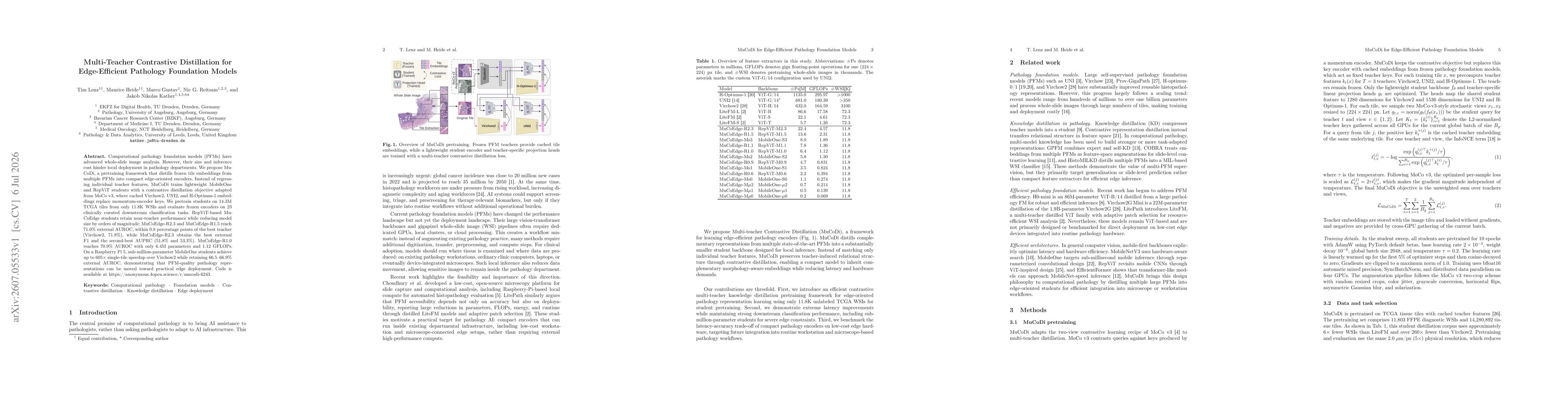 Thumbnail for Multi-Teacher Contrastive Distillation for Edge-Efficient Pathology Foundation Models