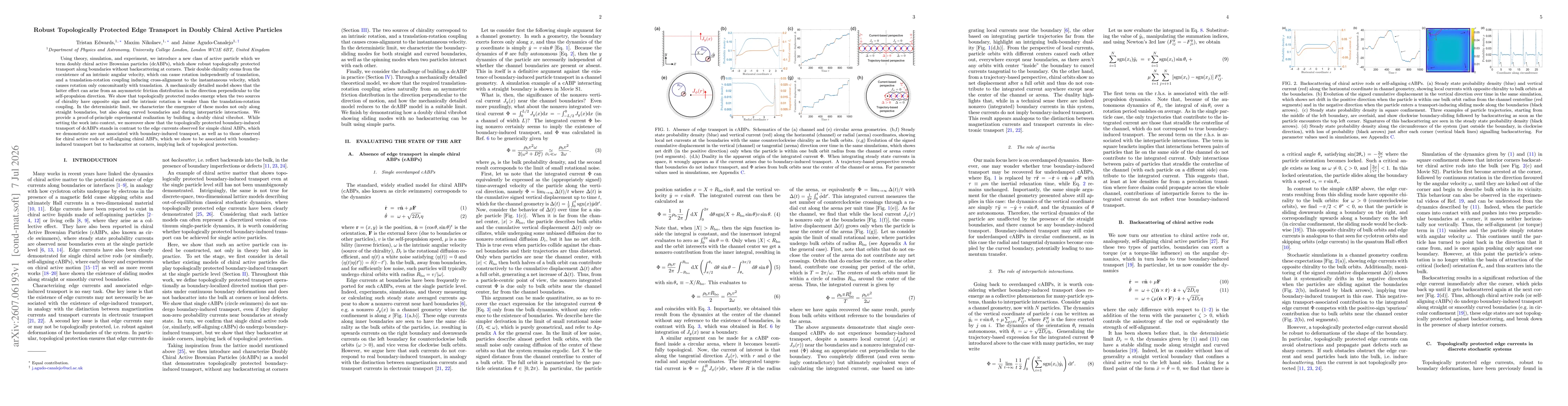 Thumbnail for Robust Topologically Protected Edge Transport in Doubly Chiral Active Particles