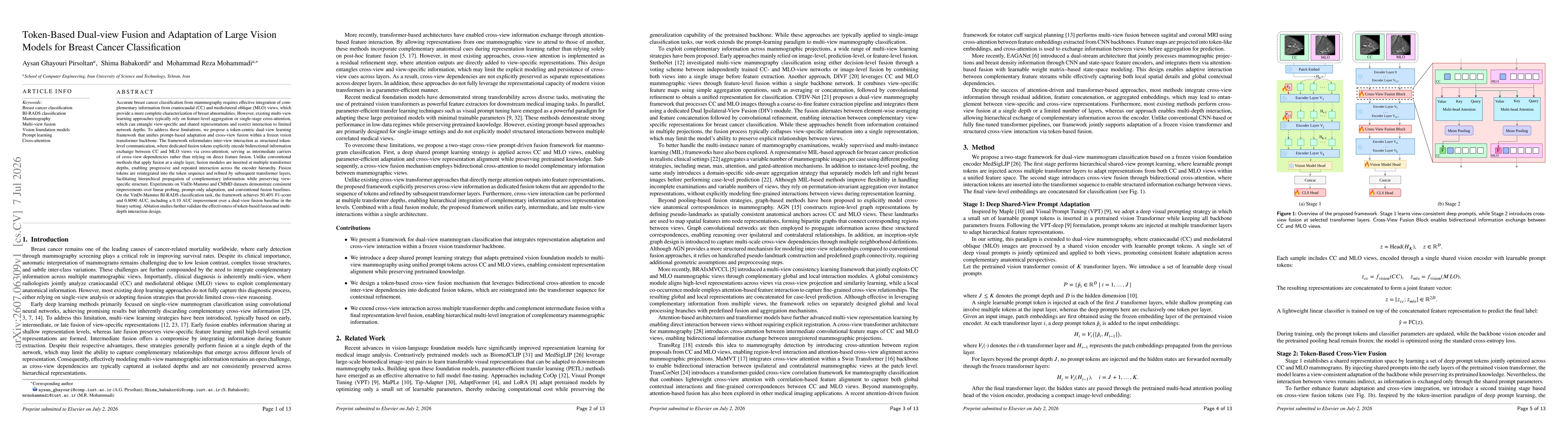 Thumbnail for Token-Based Dual-view Fusion and Adaptation of Large Vision Models for Breast Cancer Classification