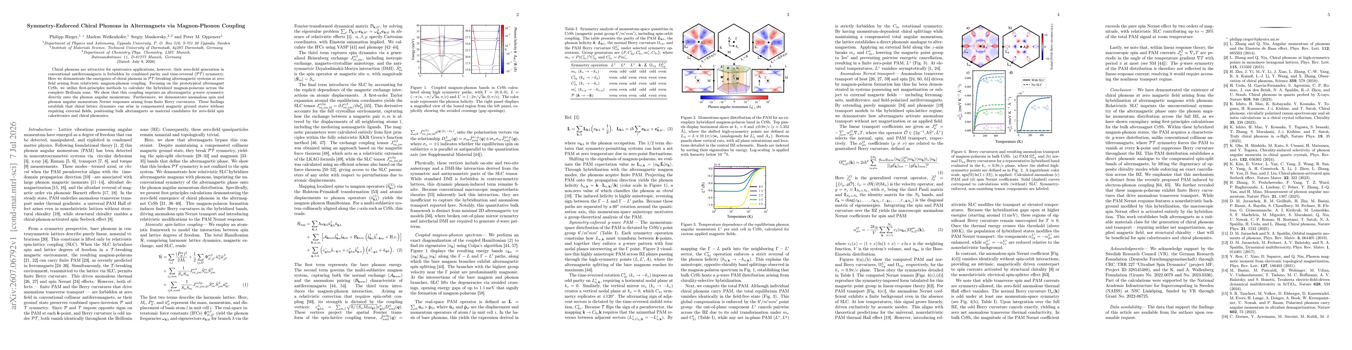 Thumbnail for Symmetry-Enforced Chiral Phonons in Altermagnets via Magnon-Phonon Coupling