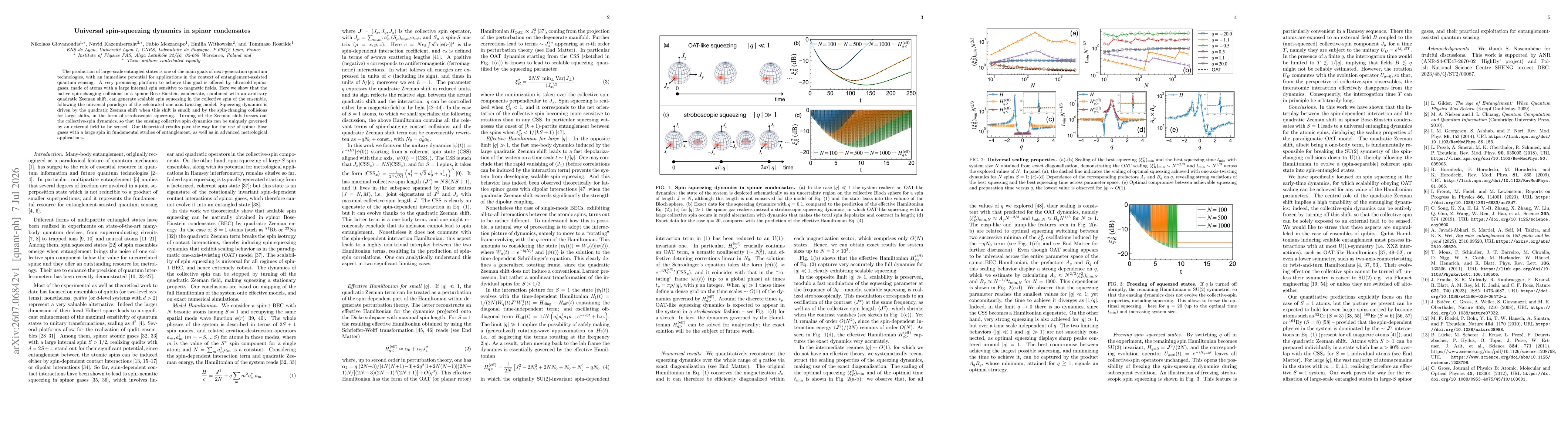Thumbnail for Universal spin-squeezing dynamics in spinor condensates