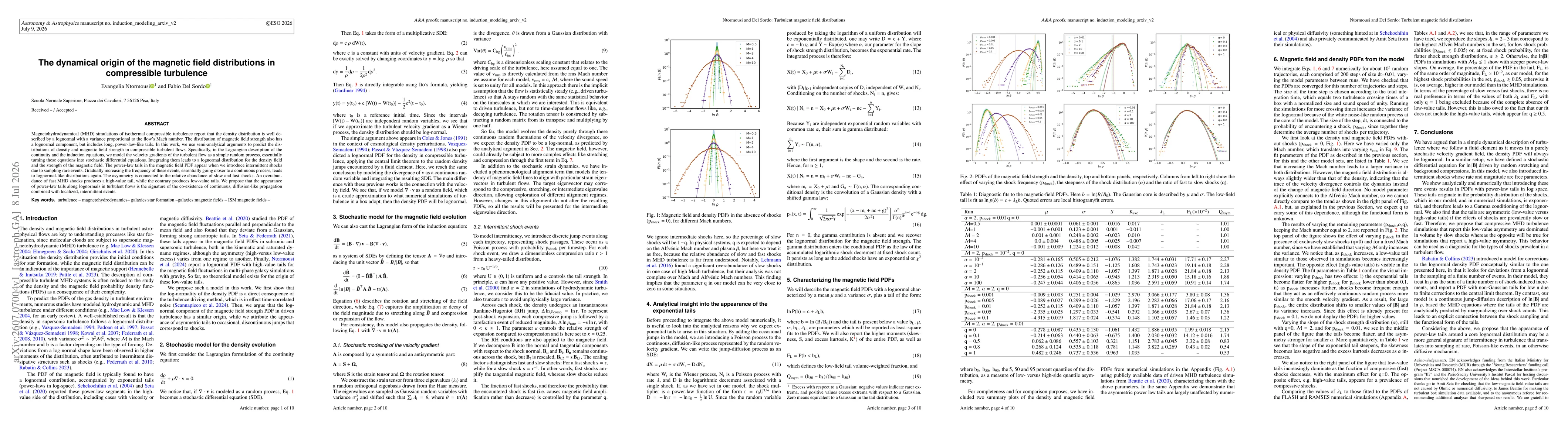 Thumbnail for The dynamical origin of the magnetic field distributions in compressible turbulence