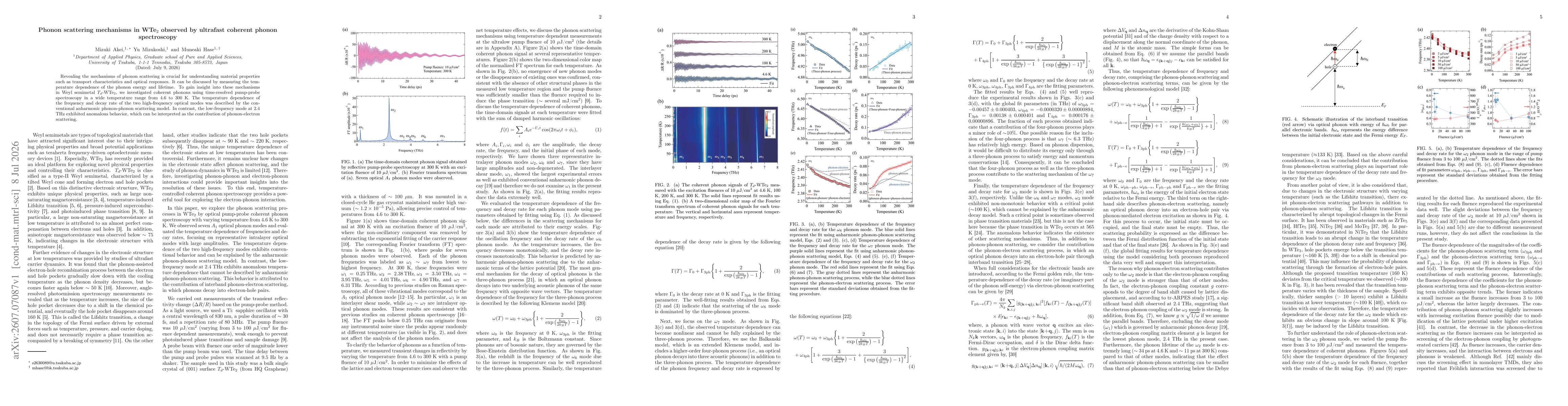 Thumbnail for Phonon scattering mechanisms in WTe$_2$ observed by ultrafast coherent phonon spectroscopy