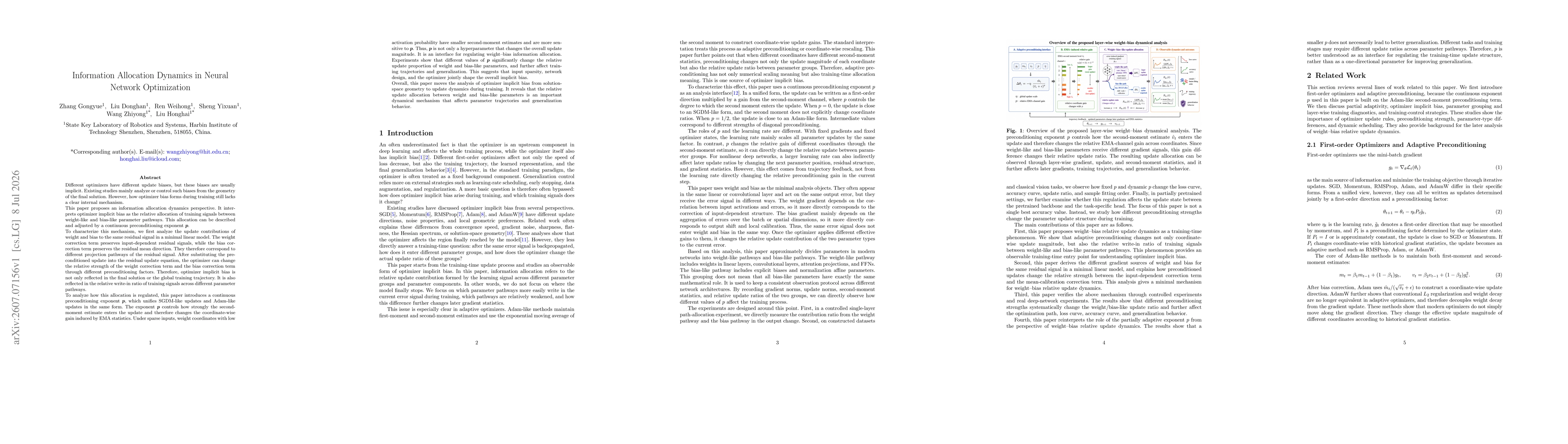 Thumbnail for Information Allocation Dynamics in Neural Network Optimization