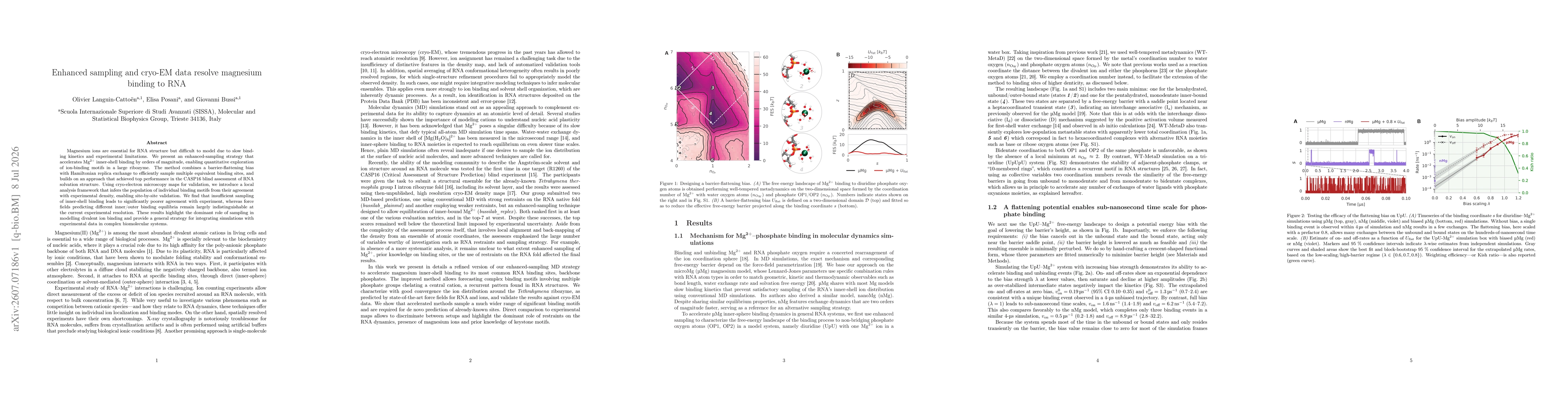 Thumbnail for Enhanced sampling and cryo-EM data resolve magnesium binding to RNA