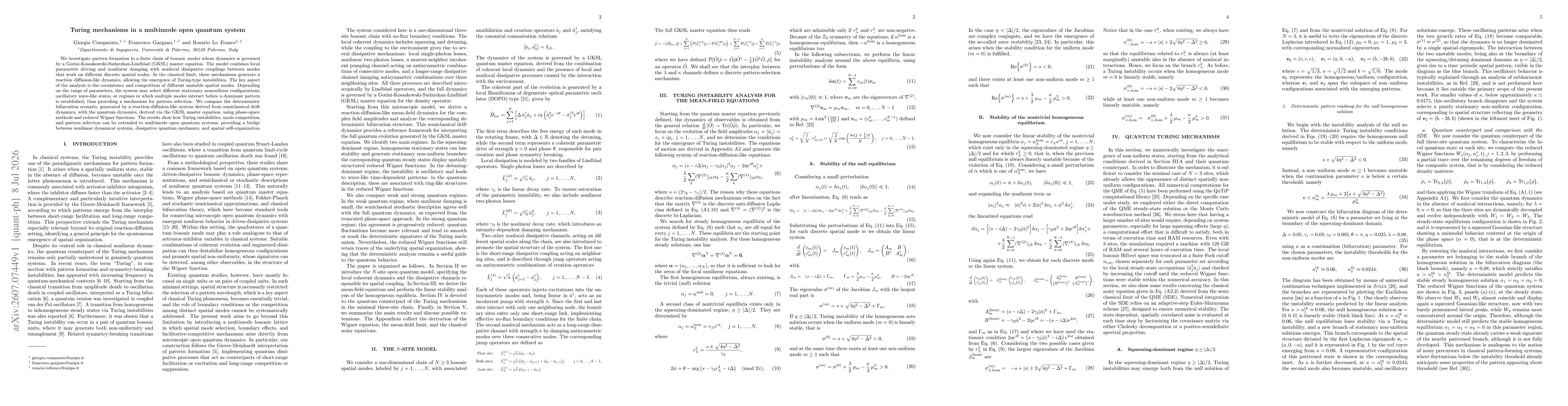 Thumbnail for Turing mechanisms in a multimode open quantum system