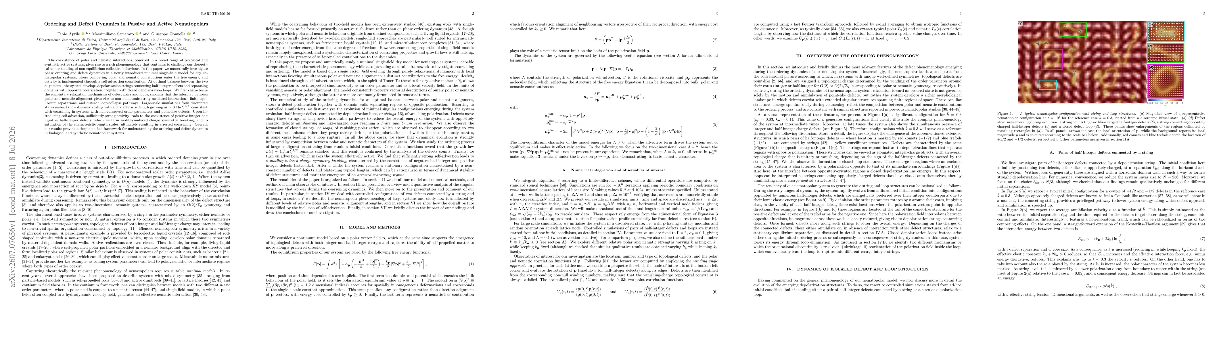 Thumbnail for Ordering and Defect Dynamics in Passive and Active Nematopolars