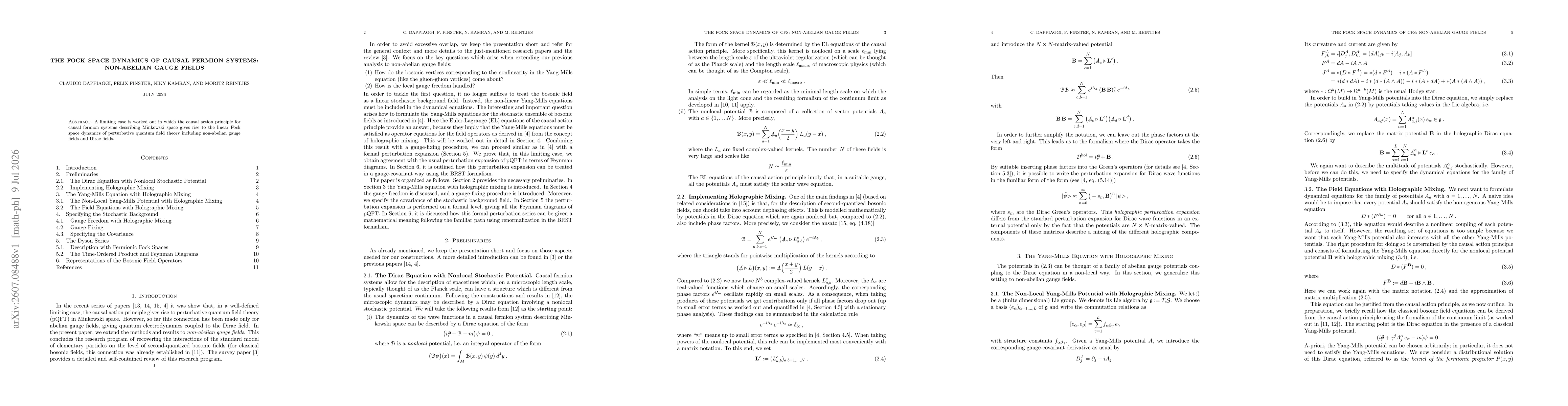 Thumbnail for The Fock Space Dynamics of Causal Fermion Systems: Non-Abelian Gauge Fields