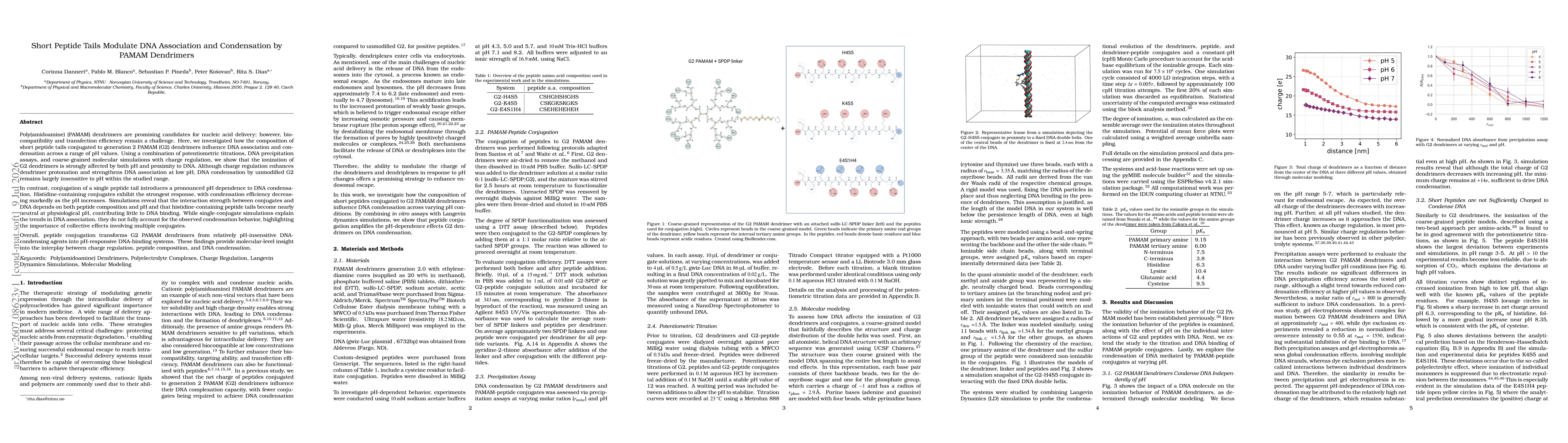 Thumbnail for Short Peptide Tails Modulate DNA Association and Condensation by PAMAM Dendrimers
