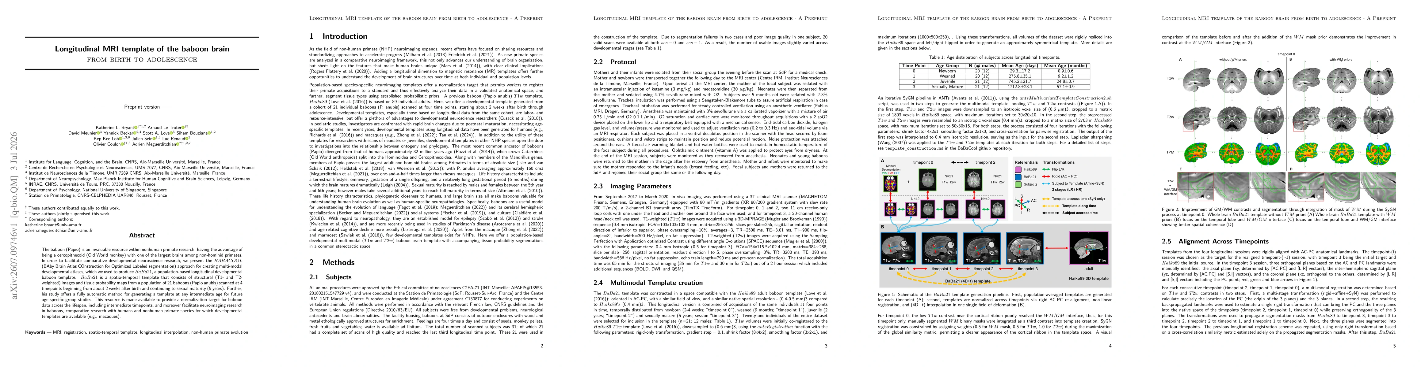 Thumbnail for Longitudinal MRI template of the baboon brain from birth to adolescence