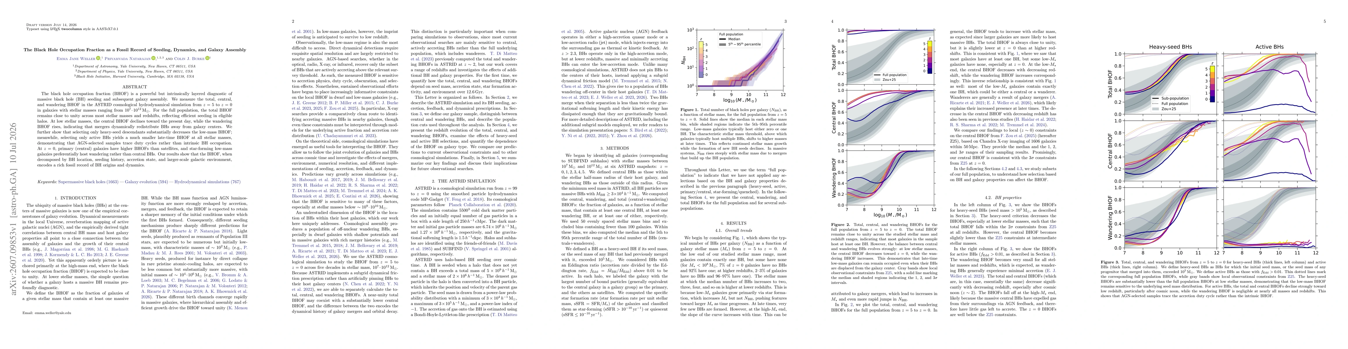 Thumbnail for The Black Hole Occupation Fraction as a Fossil Record of Seeding, Dynamics, and Galaxy Assembly