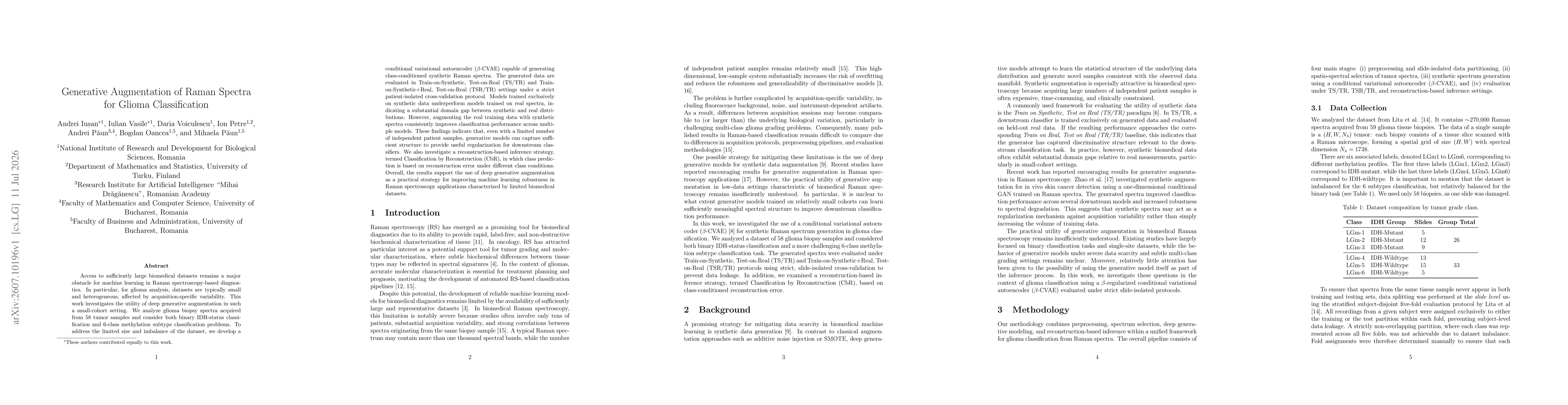 Thumbnail for Generative Augmentation of Raman Spectra for Glioma Classification