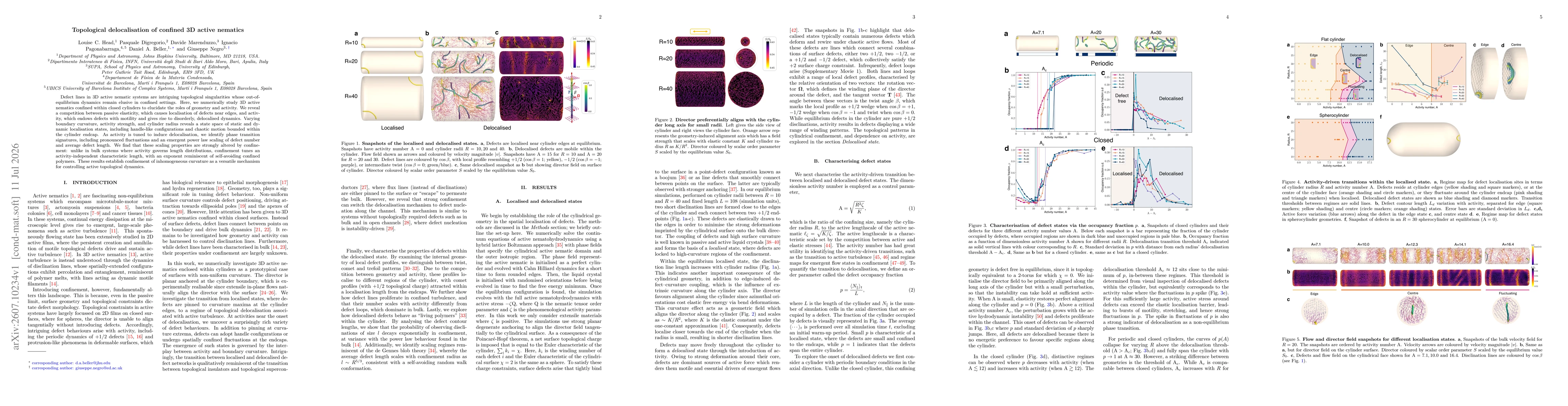 Thumbnail for Topological delocalisation of confined 3D active nematics