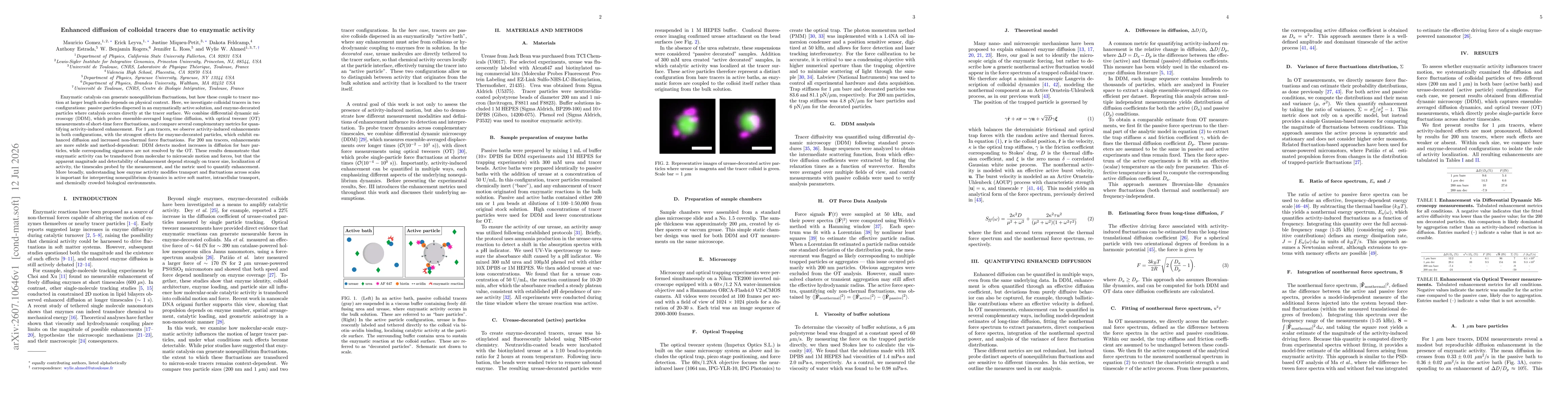 Thumbnail for Enhanced diffusion of colloidal tracers due to enzymatic activity