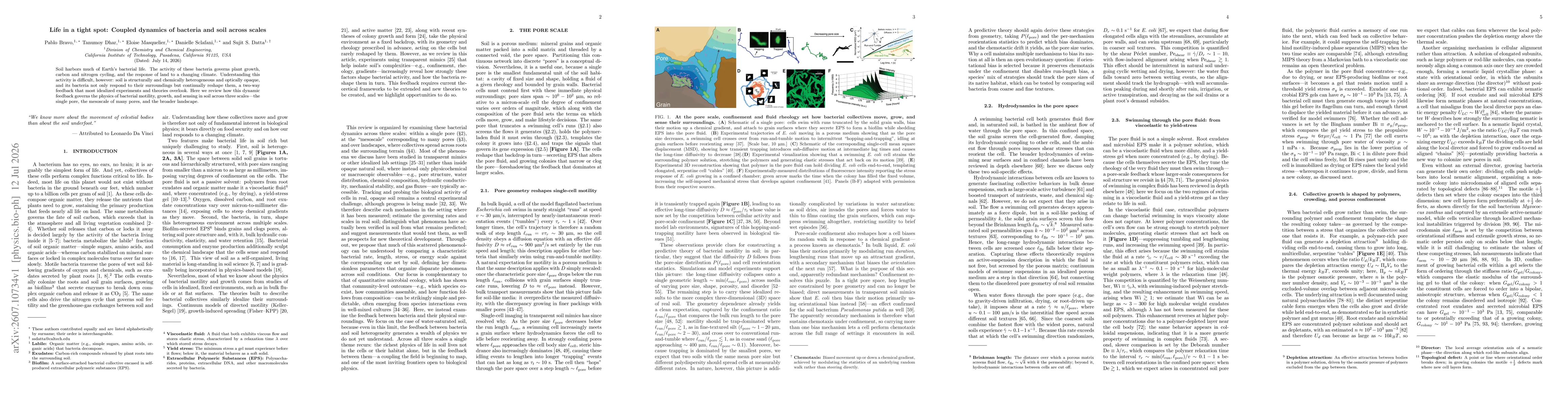 Thumbnail for Life in a tight spot: Coupled dynamics of bacteria and soil across scales