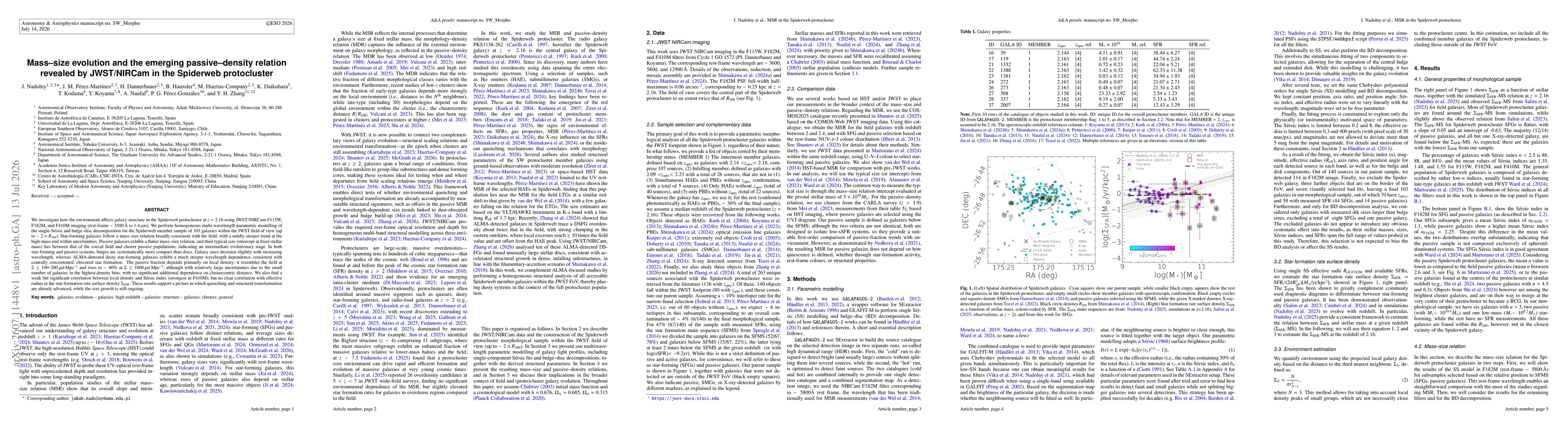 Thumbnail for Mass--size evolution and the emerging passive--density relation revealed by JWST/NIRCam in the Spiderweb protocluster
