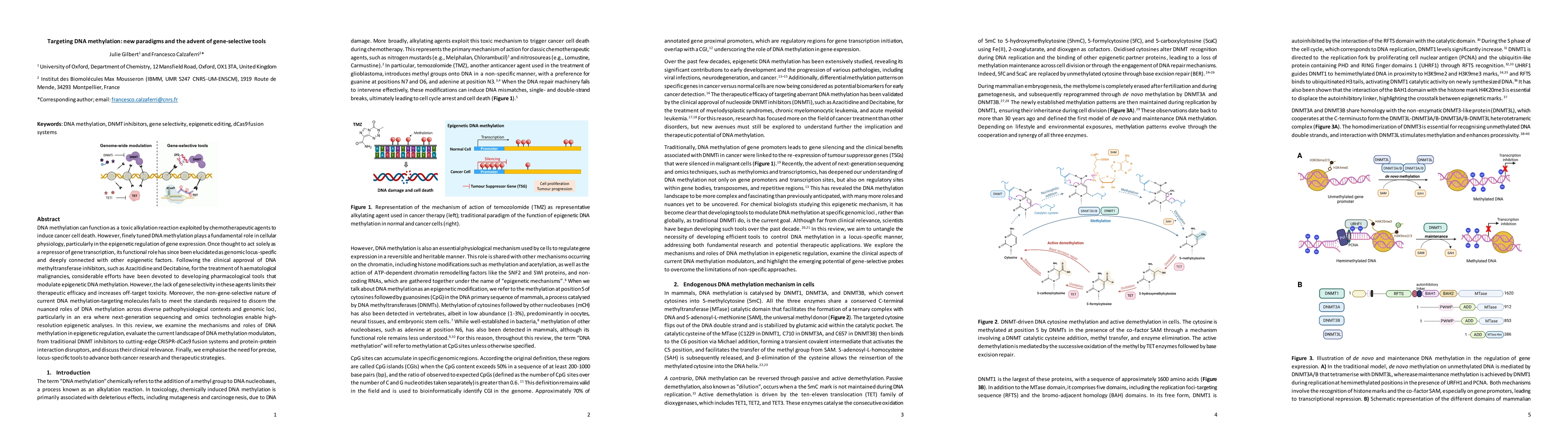Thumbnail for Targeting DNA Methylation: New Paradigms and the Advent of Gene-Selective Tools