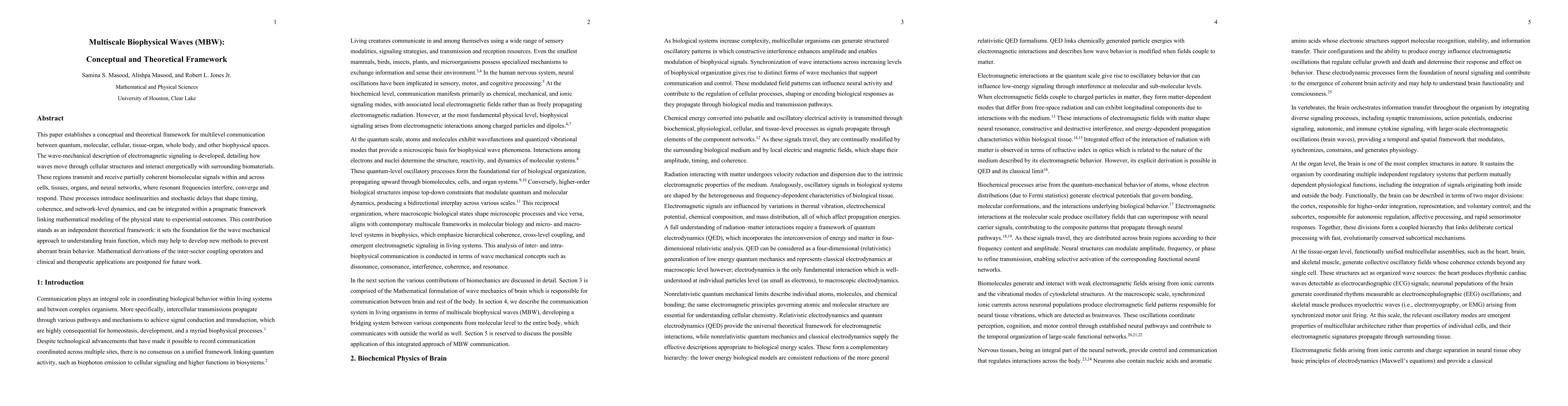 Thumbnail for Multiscale Biophysical Waves (MBW): Conceptual and Theoretical Framework