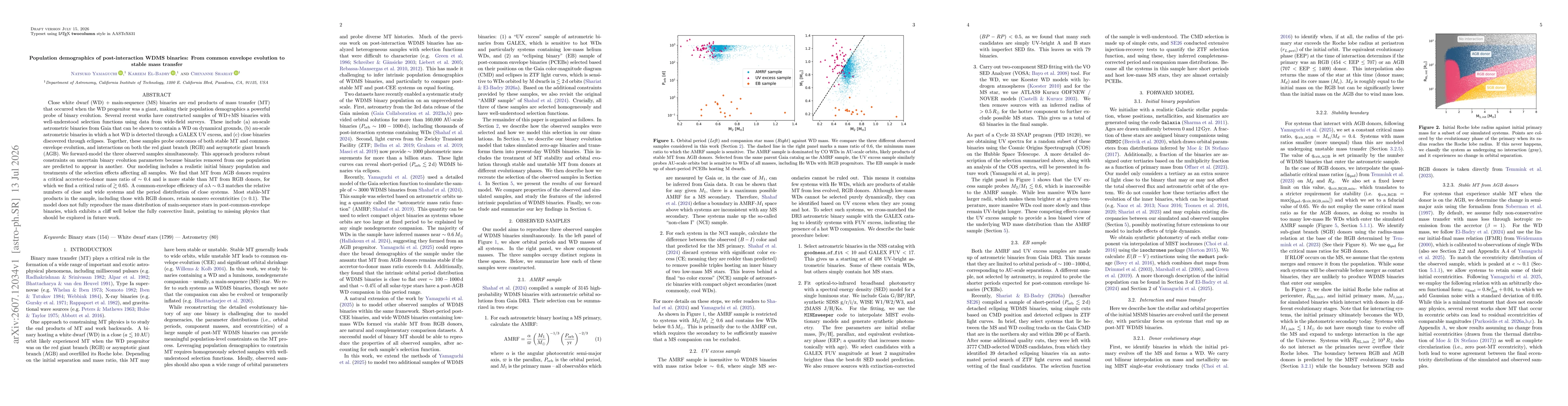 Thumbnail for Population demographics of post-interaction WDMS binaries: From common envelope evolution to stable mass transfer