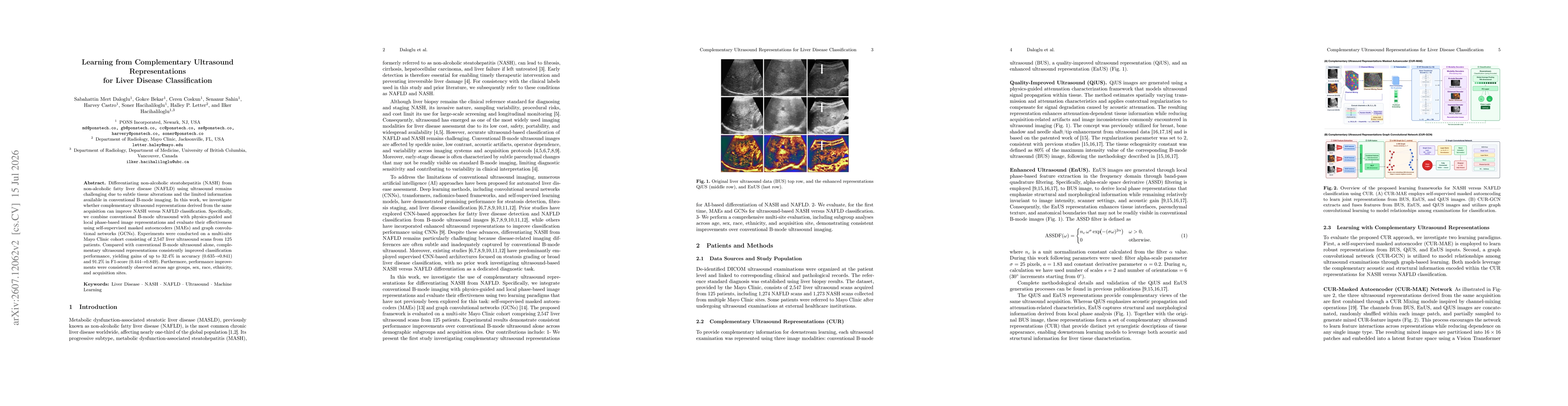 Thumbnail for Learning from Complementary Ultrasound Representations for Liver Disease Classification