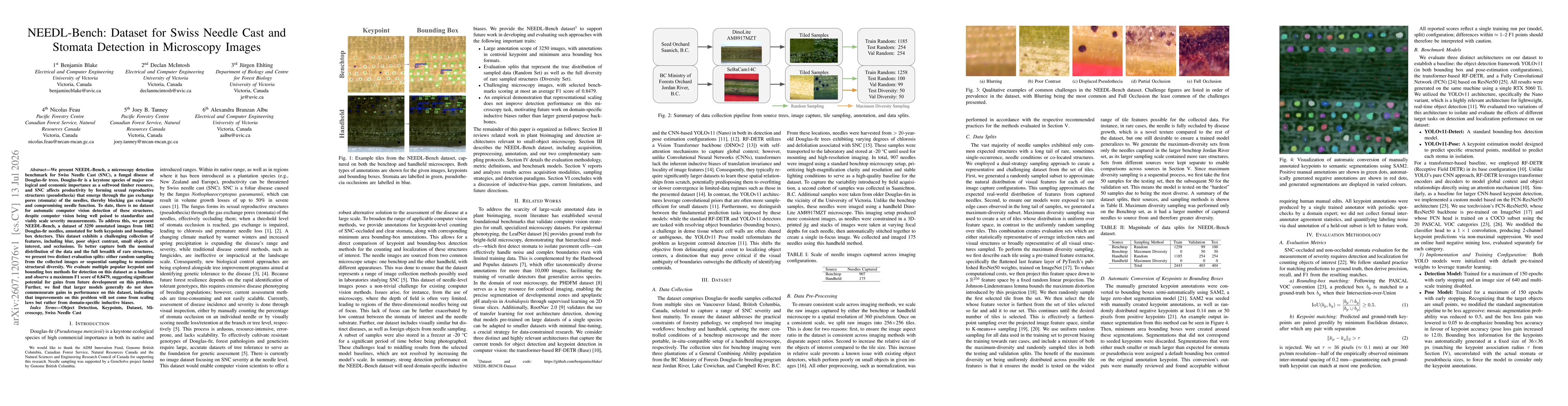 Thumbnail for NEEDL-Bench: Dataset for Swiss Needle Cast and Stomata Detection in Microscopy Images
