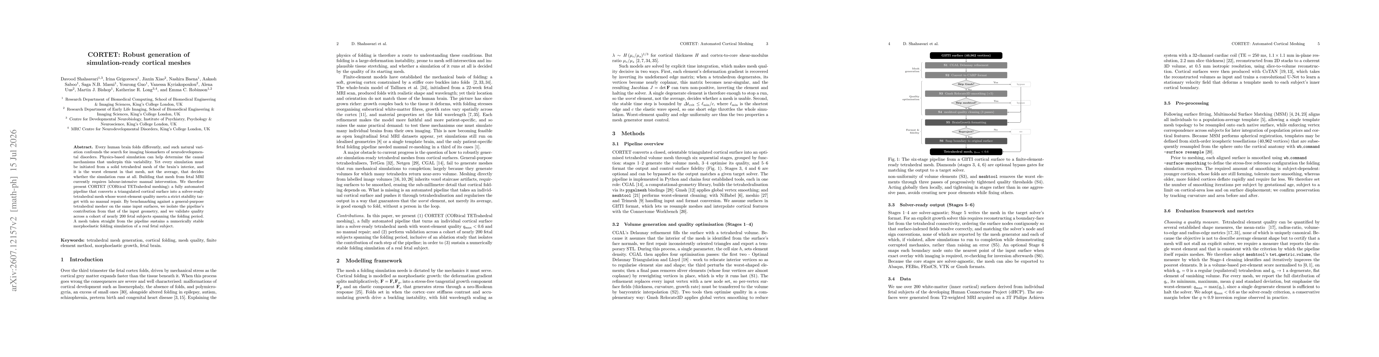 Thumbnail for CORTET: Robust generation of simulation-ready cortical meshes