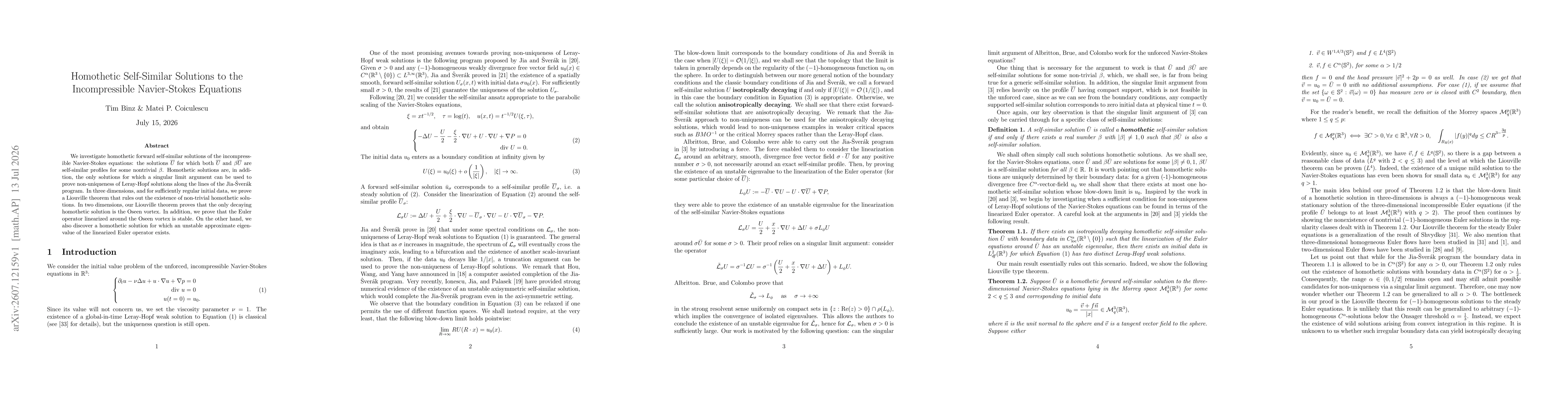 Thumbnail for Homothetic Self-Similar Solutions to the Incompressible Navier-Stokes Equations