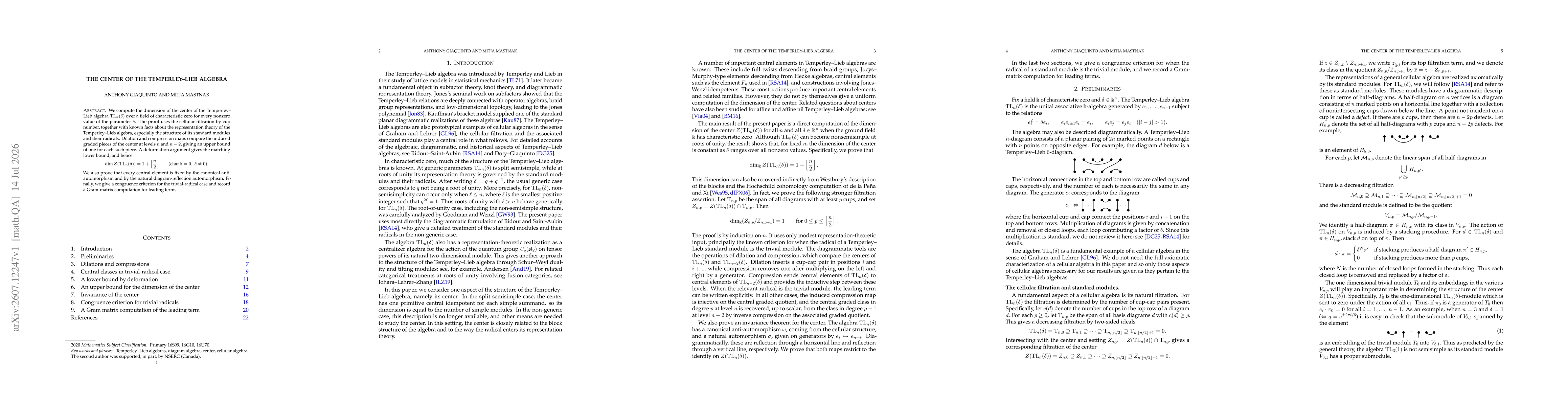 Thumbnail for The Center of the Temperley-Lieb Algebra