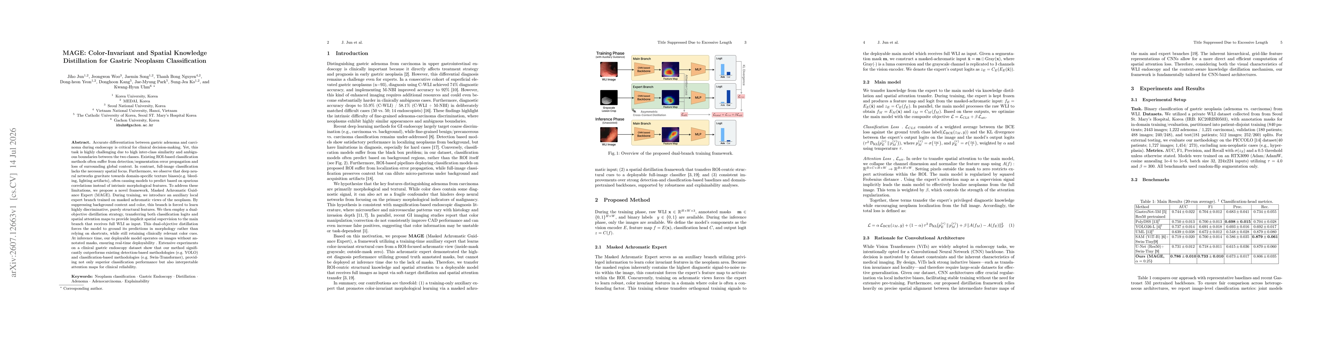 Thumbnail for MAGE: Color-Invariant and Spatial Knowledge Distillation for Gastric Neoplasm Classification