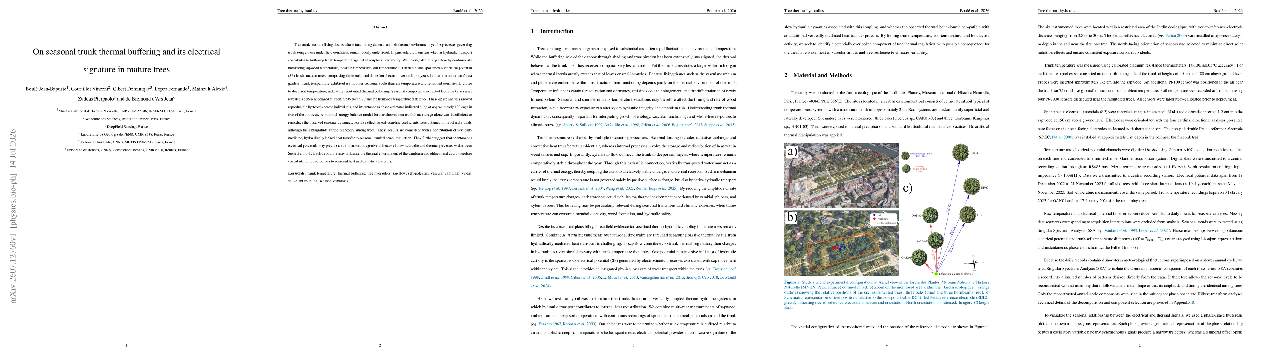 Thumbnail for On seasonal trunk thermal buffering and its electrical signature in mature trees