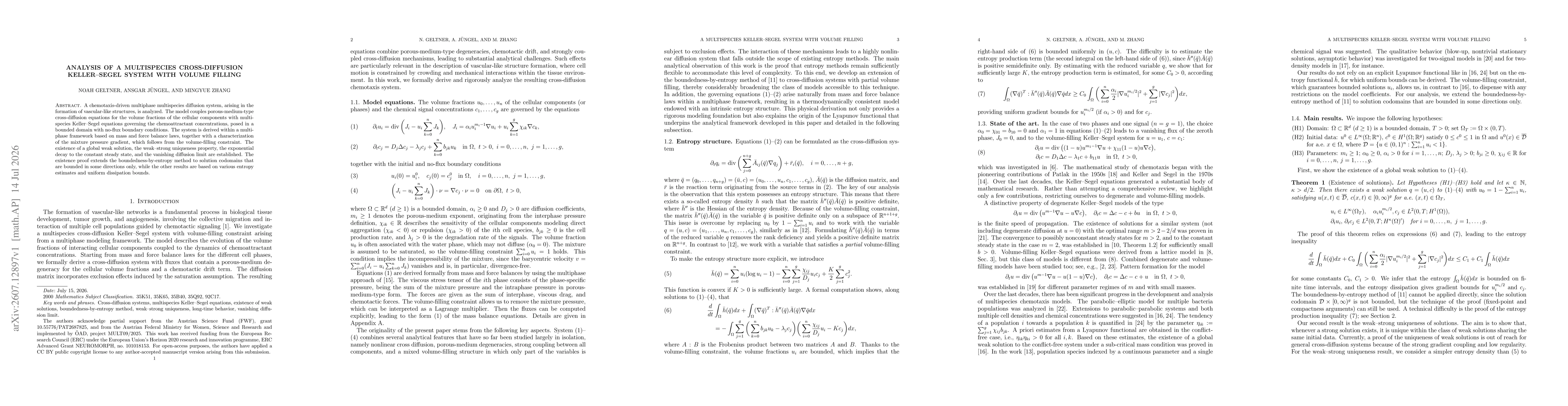Thumbnail for Analysis of a multispecies cross-diffusion Keller-Segel system with volume filling