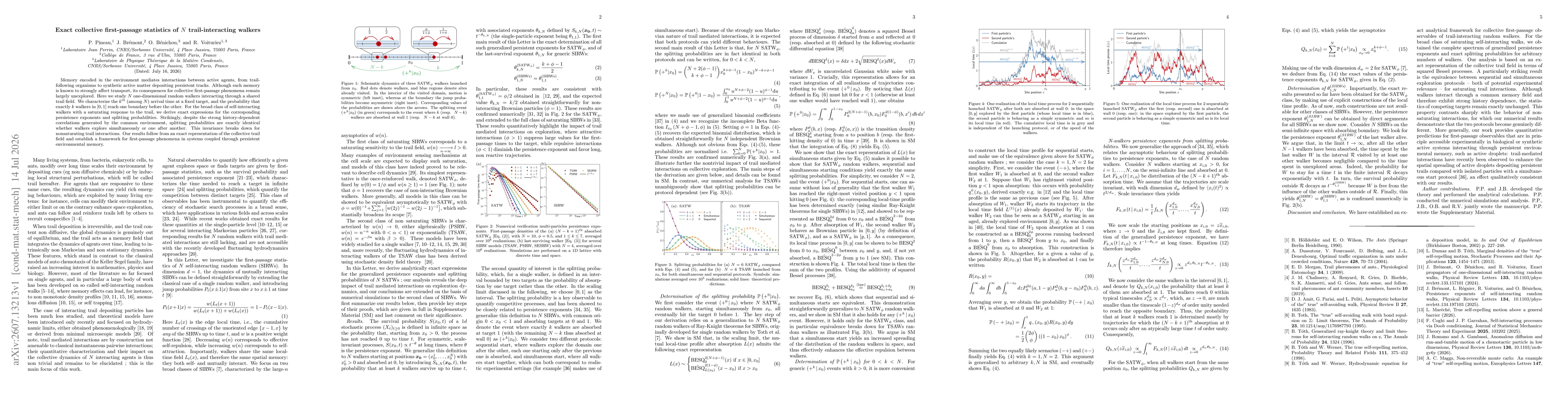 Thumbnail for Exact collective first-passage statistics of N trail-interacting walkers
