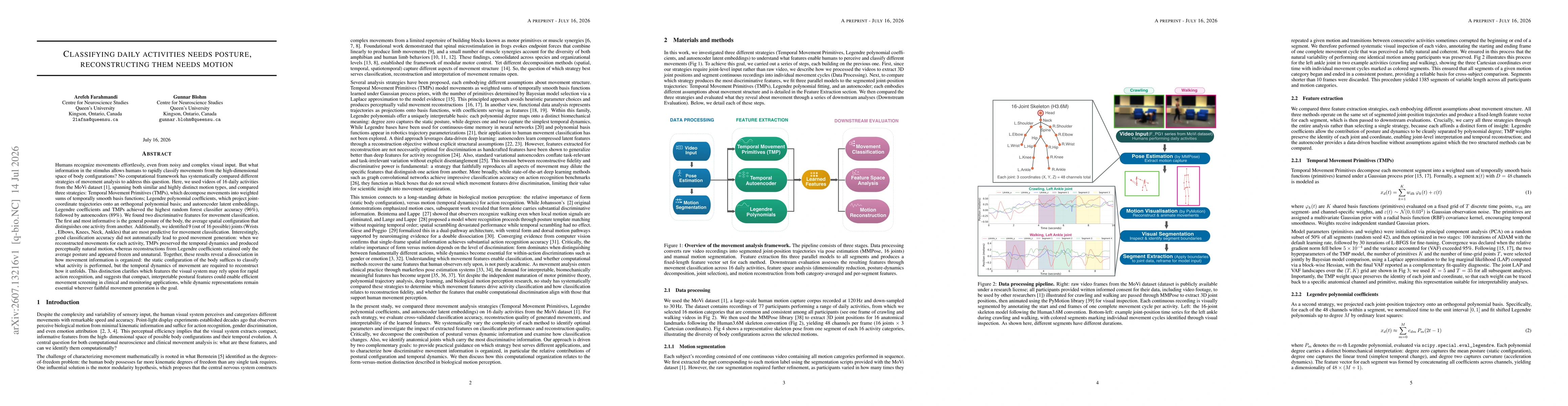 Thumbnail for Classifying daily activities needs posture, reconstructing them needs motion