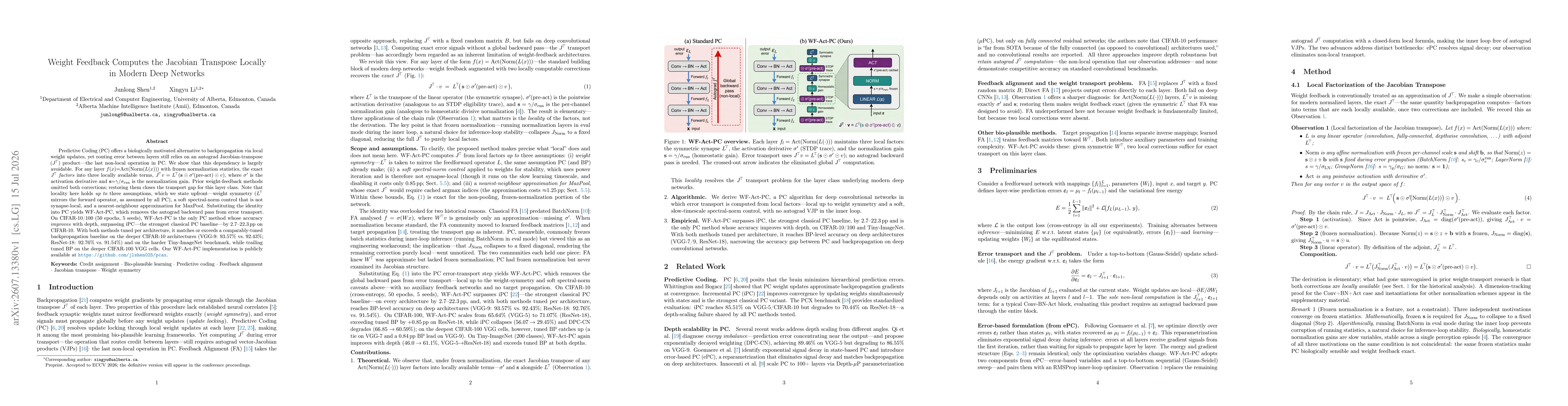 Thumbnail for Weight Feedback Computes the Jacobian Transpose Locally in Modern Deep Networks