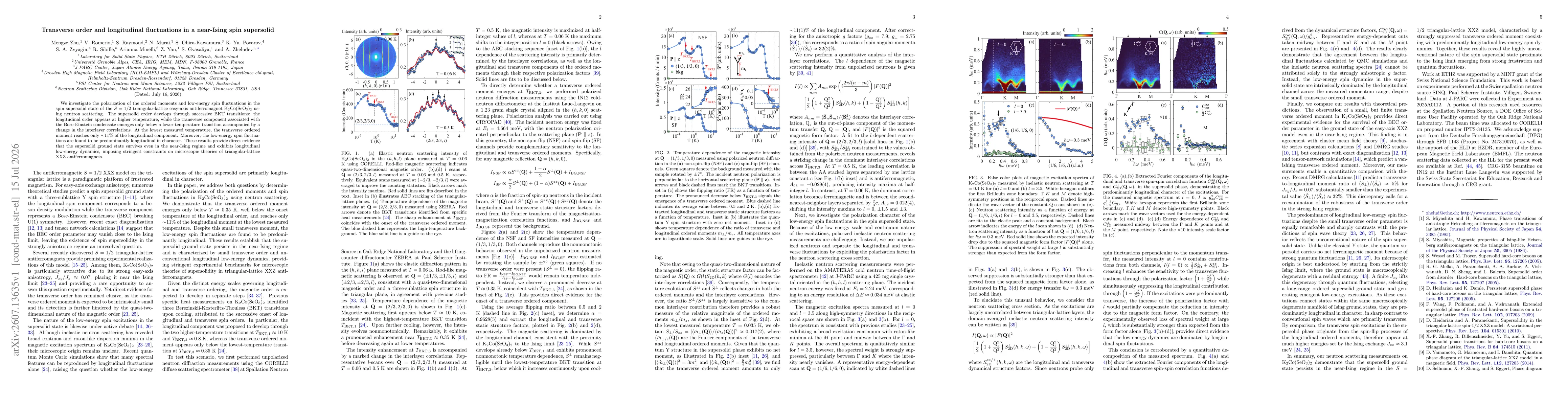 Thumbnail for Transverse order and longitudinal fluctuations in a near-Ising spin supersolid