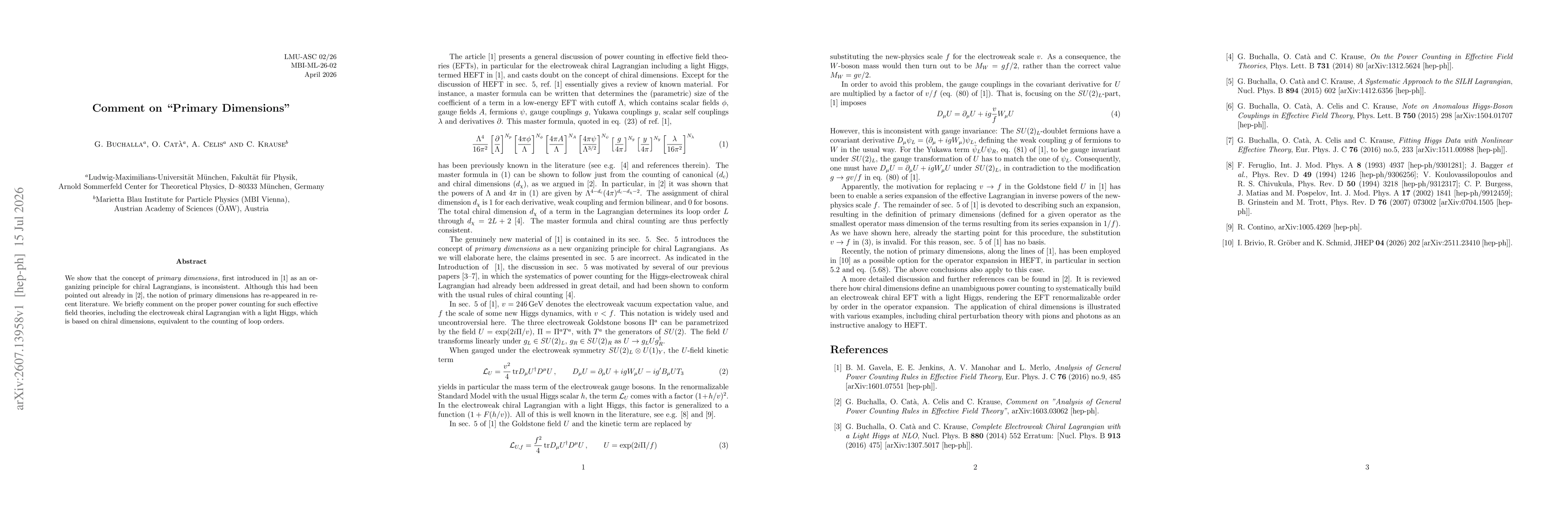 Thumbnail for Comment on 'Primary Dimensions'