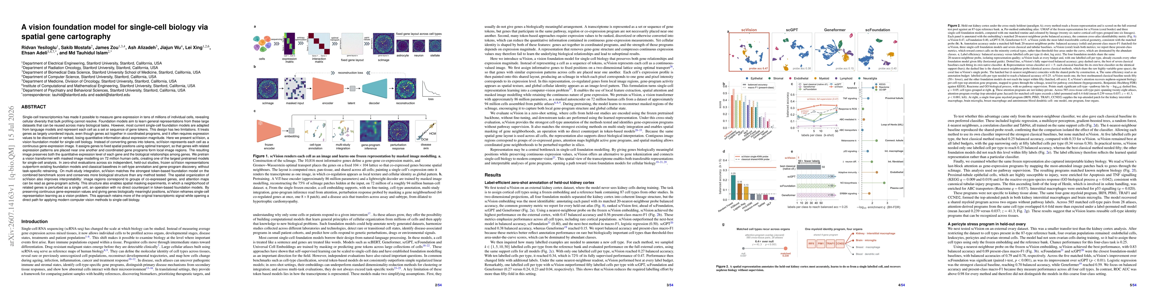 Thumbnail for A vision foundation model for single-cell biology via spatial gene cartography