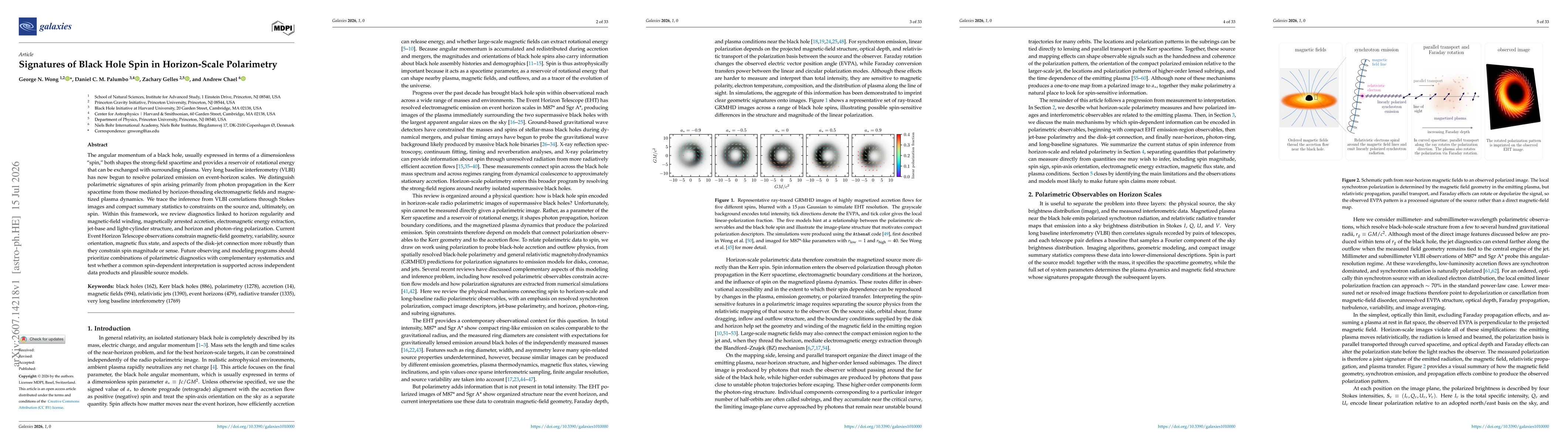 Thumbnail for Signatures of Black Hole Spin in Horizon-Scale Polarimetry