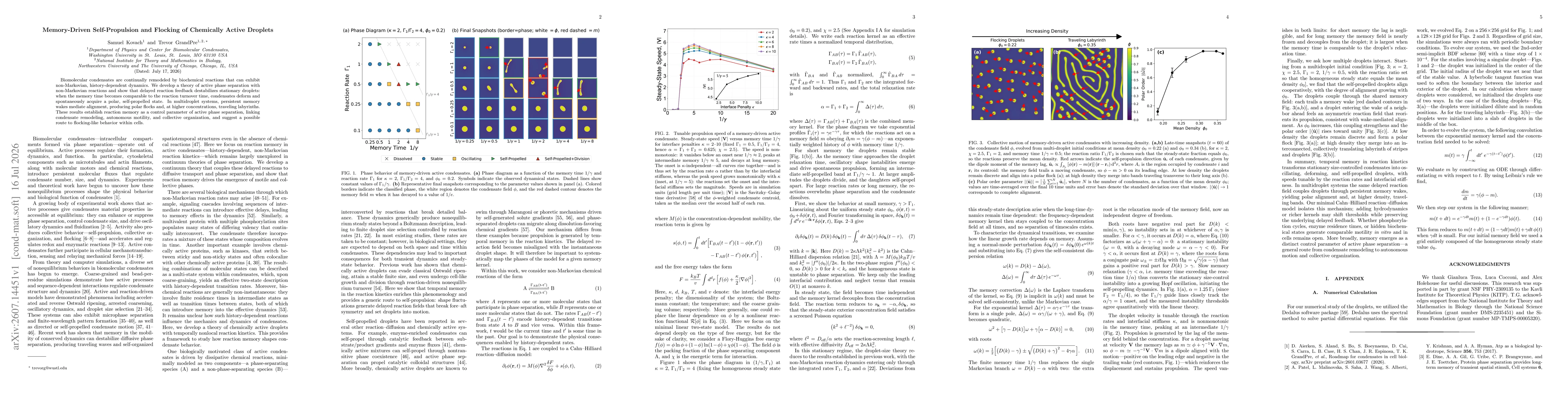 Thumbnail for Memory-Driven Self-Propulsion and Flocking of Chemically Active Droplets