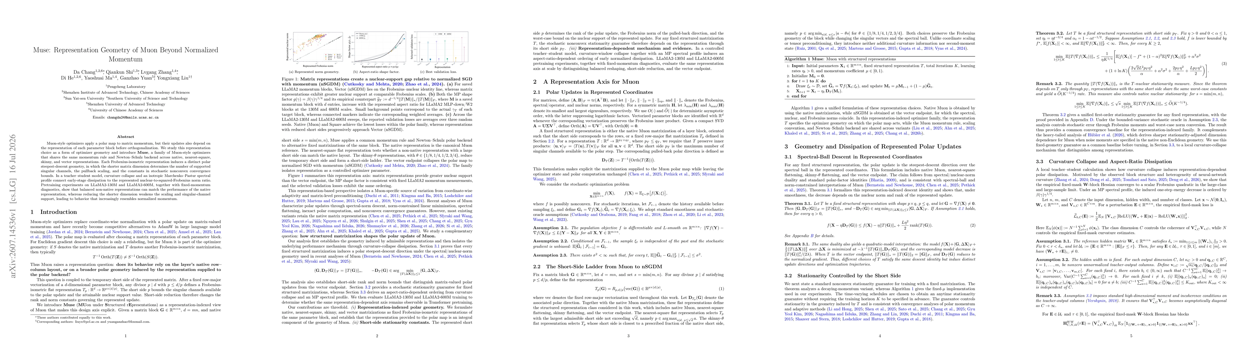 Thumbnail for Muse: Representation Geometry of Muon Beyond Normalized Momentum