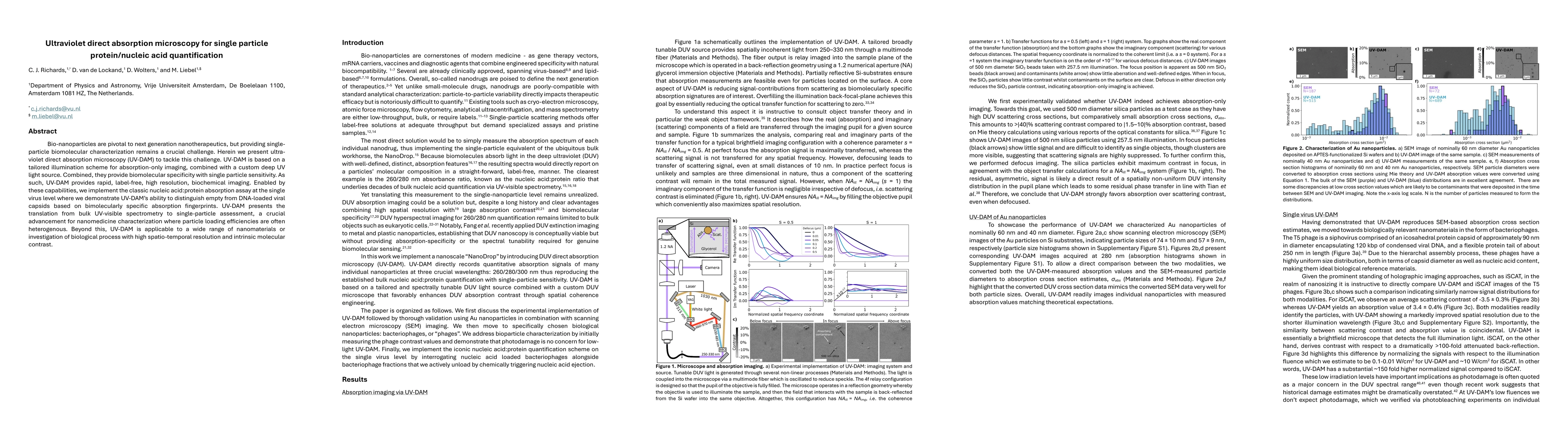Thumbnail for Ultraviolet direct absorption microscopy for single particle protein/nucleic acid quantification