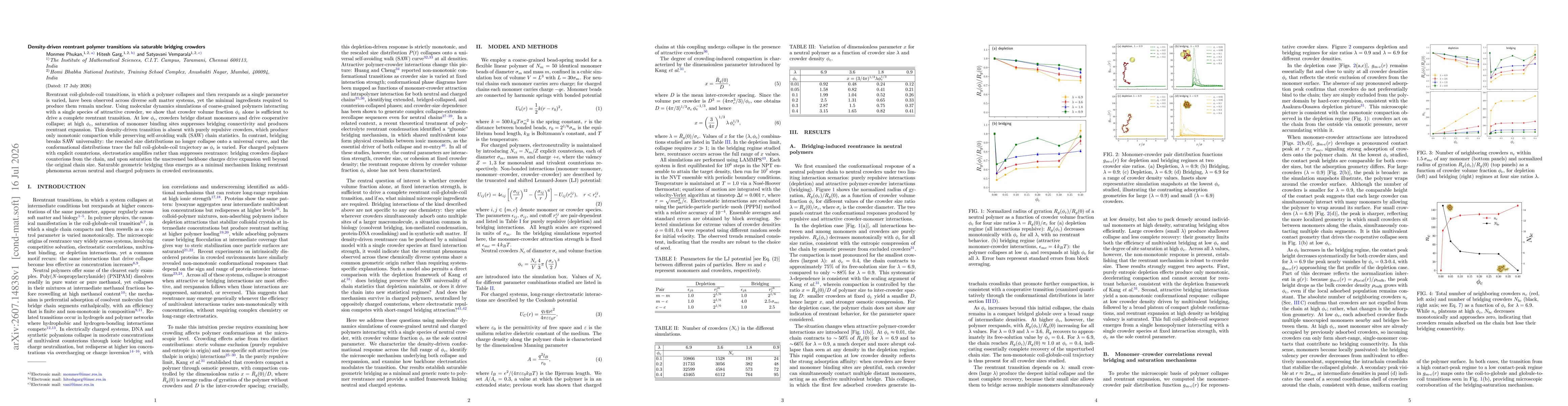 Thumbnail for Density-driven reentrant polymer transitions via saturable bridging crowders