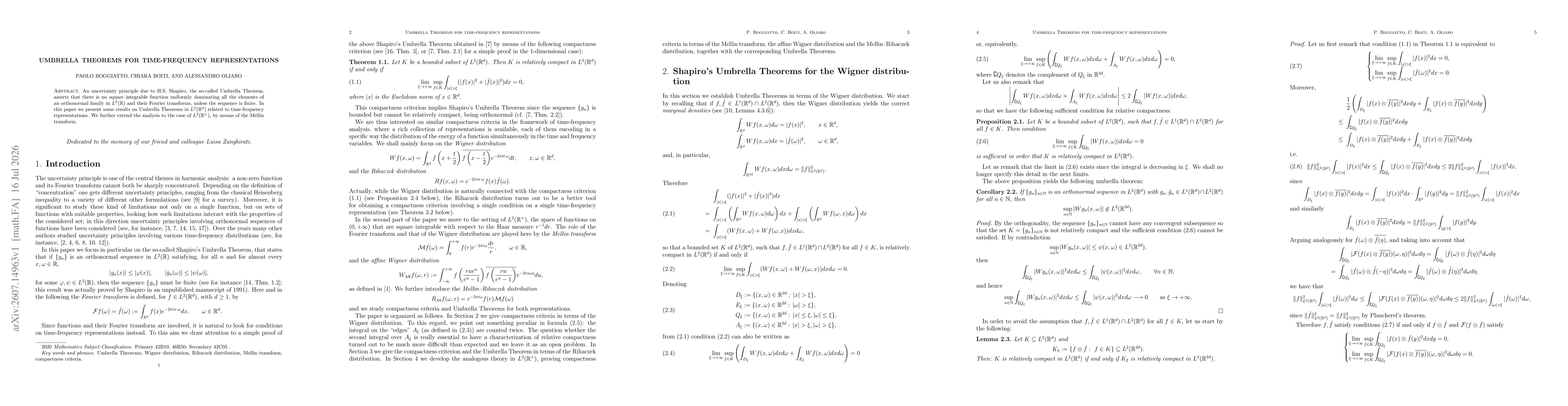 Thumbnail for Umbrella theorems for time-frequency representations