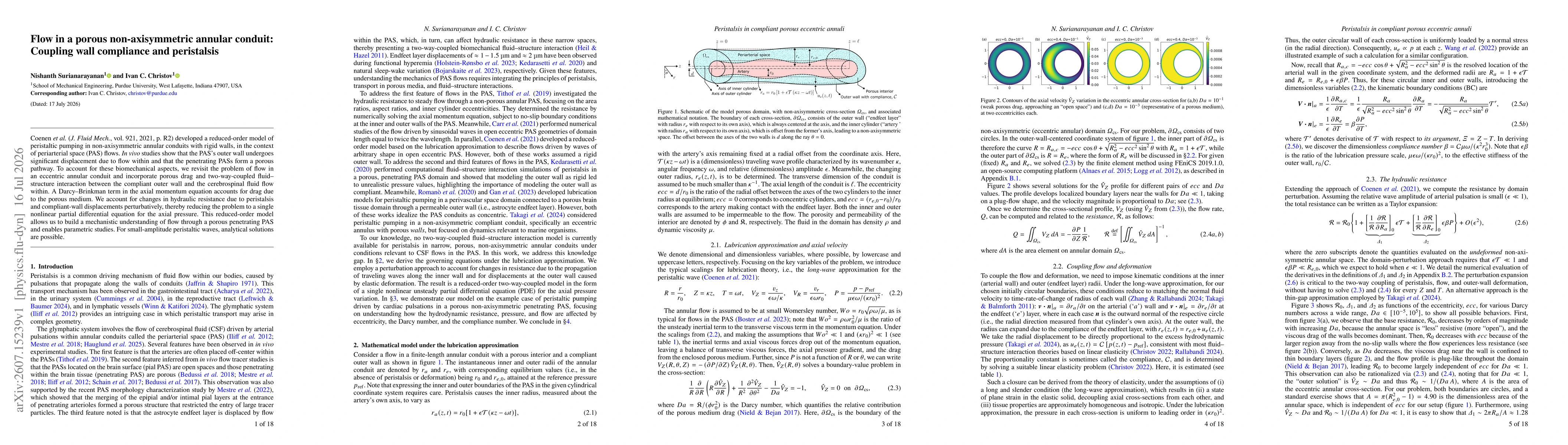 Thumbnail for Flow in a porous non-axisymmetric annular conduit: Coupling wall compliance and peristalsis
